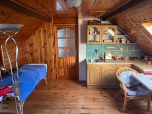 a kitchen with a bed and a table in a room at Cat’s House- Dům u třech koček in Zdice