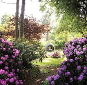 um jardim com flores cor-de-rosa e um túnel ao fundo em Casa Angres - Lüneburger Heide 