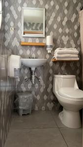 a bathroom with a sink and a toilet at Loft A1 A 8 MIN DEL CENTRO in Guadalajara