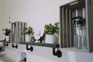 a shelf with plants and a bottle on it at The White House, A Unique ABQ Stay in Central Location near Uptown in Albuquerque +81 photos