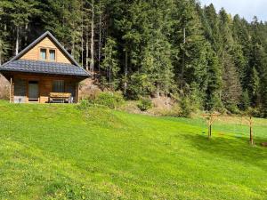 una piccola casa su una collina in un campo verde di Leśne Zacisze a Ochotnica Górna