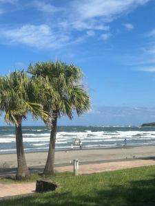 dos palmeras en una playa cerca del océano en 海と山と川、田園に囲まれた静かな古民家一棟貸し, en Miyazaki