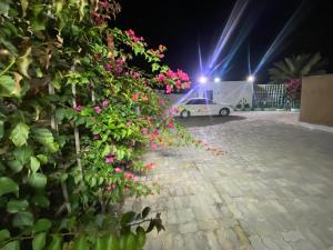 Aed väljaspool majutusasutust Al Rahba Holiday Farmhouse