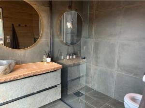 y baño con ducha, lavabo y espejo. en Beautiful Barn Studio - Lake View en Porsgrunn
