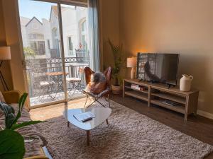 a dog sitting in a chair in a living room at Sunny 1BDR centrally located in Marina del Rey in Los Angeles