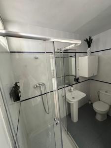 a bathroom with a shower and a toilet and a sink at Tamarindo 5 in Benalmádena