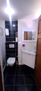 y baño con aseo, lavabo y ducha. en MD CITY HOTEL, en Canakkale