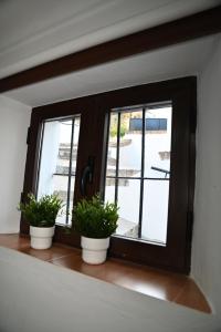 two potted plants sitting on a window sill at Casita Ladera, Setenil - Cádiz in Setenil