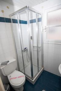 La salle de bains est pourvue de toilettes et d'une douche en verre. dans l'établissement Hotel Argo, à Galaxidi