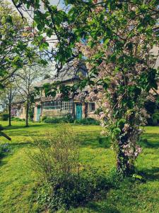 Zahrada ubytování Domaine de L'isle Maniere
