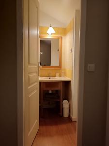 uma casa de banho com um lavatório e um espelho em Petite maison dans Résidence em Monflanquin
