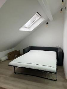a bed in a room with a skylight at The Cosy House in Brussels