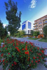 The building in which a szállodákat is located