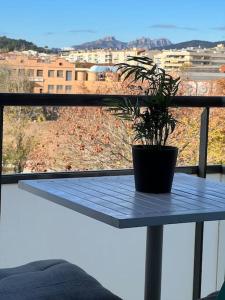 a potted plant sitting on a table on a balcony at Acogedor piso en Terrassa in Terrassa