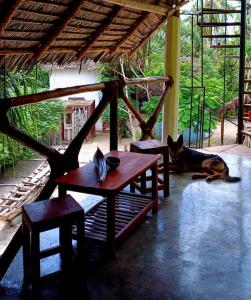 a dog laying on the floor next to a table and benches at Karibu Paradaizi in Michamvi