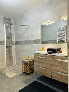 La salle de bains est pourvue d'une douche, d'un lavabo et d'un miroir. dans l'établissement La Maison Jumelle ELM Tonneins, à Tonneins