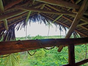 une cabane en paille avec vue sur un champ dans l'établissement Karibu Paradaizi, à Michamvi