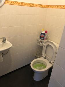 W łazience znajduje się zielona toaleta i umywalka. w obiekcie Apartman Kryštof we Franciszkowych Łaźniach