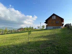 uma casa numa colina com duas árvores num campo em Brvnara Beli em Gornji Milanovac