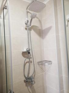 a shower with a shower head in a bathroom at Villa Pestani in Peštani