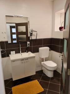 a bathroom with a toilet and a sink and a mirror at Apartment Golden Gate in Pula