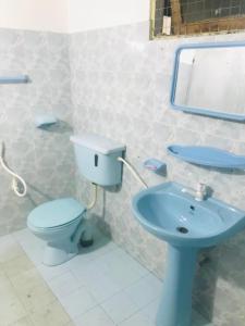 een badkamer met een blauw toilet en een wastafel bij WHITE ROSE VILLA in Kandy