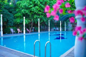 a swimming pool with blue water and chairs and trees at Tilko City Hotel Jaffna in Jaffna