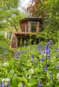 a wooden cabin in the middle of a field of flowers at Unique Secluded Romantic Treehouse in Cornwall, sleeps 2 in Looe