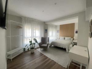 een slaapkamer met een bed en een stoel in een kamer bij Rooms Madrid Río in Madrid