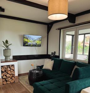 un soggiorno con divano verde e TV di Villa Buena a Despotovac