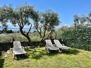 een groep ligstoelen in het gras bij La Casa Sul Lago in Passignano sul Trasimeno