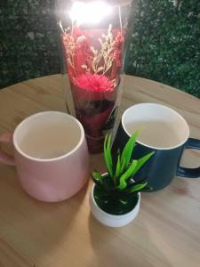 two cups and a potted plant on a table at #41 Urban Deca Homes Manila in Manila