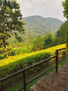 a fence with a view of a field of flowers at Bwindi Forest Lodge in Buhoma