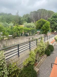 a stone retaining wall with bushes and trees at Casetta Tommaso in Porto Ercole