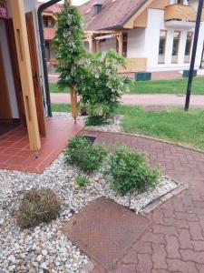 a walkway in front of a house with plants at Apartma Trobentica 23 in Moravske-Toplice