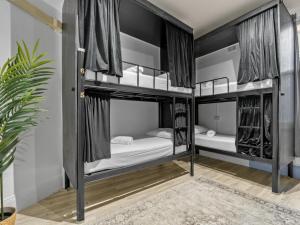 two bunk beds in a room with a potted plant at Sydney Pod Hotels - Darling Harbour in Sydney