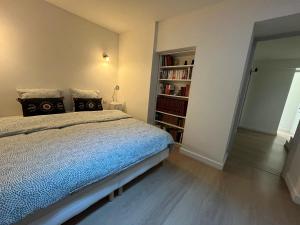 a bedroom with a bed and a book shelf at Maison familiale 3 chambres in Avignon