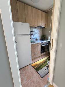 a kitchen with a white refrigerator in a room at Radu Acomodation in Bucharest