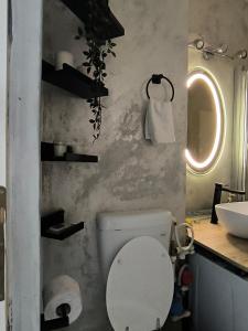 a bathroom with a white toilet and a sink at Radu Acomodation in Bucharest