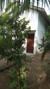 una casa bianca con una porta in legno e un albero di Oasis Villa a Negombo