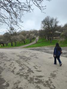 BasqalにあるBasqal Village Cottages & Restaurantの公園内の道を歩く女