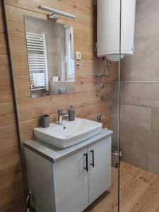 Bilik mandi di Angelika apartman Divčigora