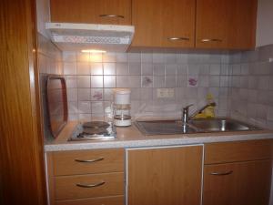Kuchyň nebo kuchyňský kout v ubytování Ferienwohnung Vier Jahreszeiten + 37 fotografií