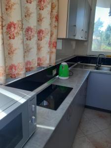 a kitchen with a green appliance on the counter at Villa Gersina Golem in Golem