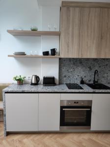 La cuisine est équipée de placards blancs et d'un four avec plaques de cuisson. dans l'établissement Kalamaja Loft Apartments, à Tallinn