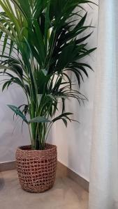 アダマスにあるAnais Milos Suitesのギャラリーの写真