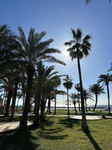 een groep palmbomen in een park met de oceaan bij Hotel Dar Al Madina in Mahdia