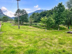 a field of green grass with mountains in the background at La Grădina in Mehadia