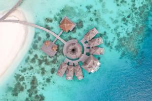 an aerial view of an island in the ocean at Coco Bodu Hithi in North Male Atoll