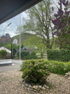 a window view of a garden with a flower bush at Auf Mühlenfeld in Heimbach